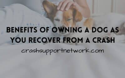 Benefits of Owning a Dog As You Recover From a Crash