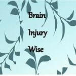 brain injury wise