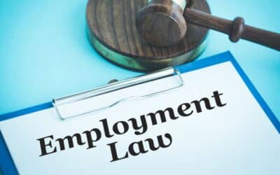 Employment Lawyer – Why Crash Survivors Shouldn’t Hesitate to Talk to One