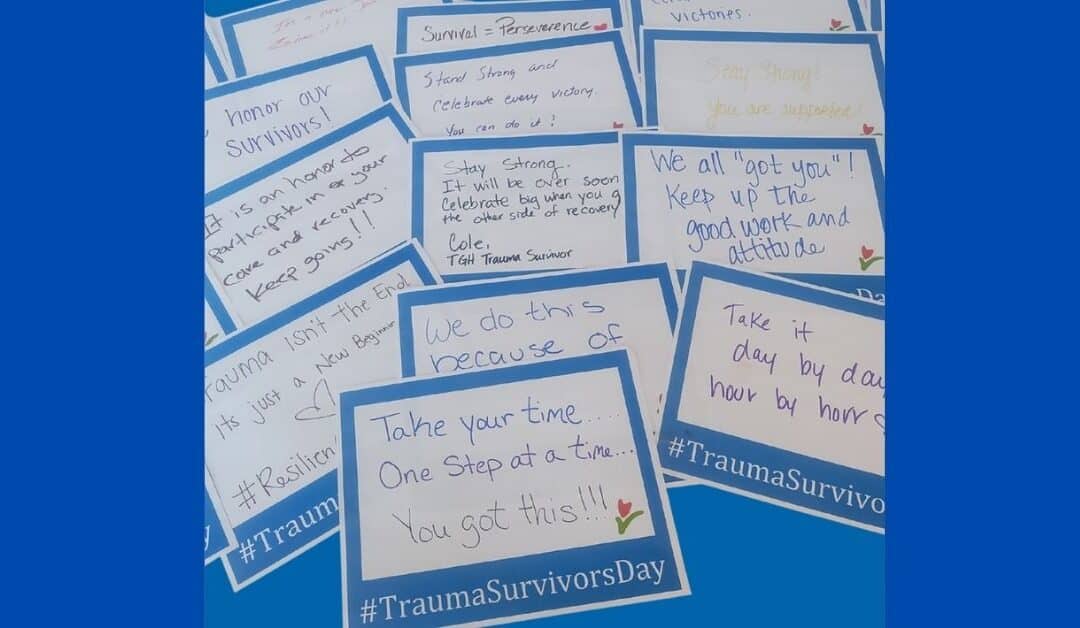 The Power of Connection: Trauma Survivors Network